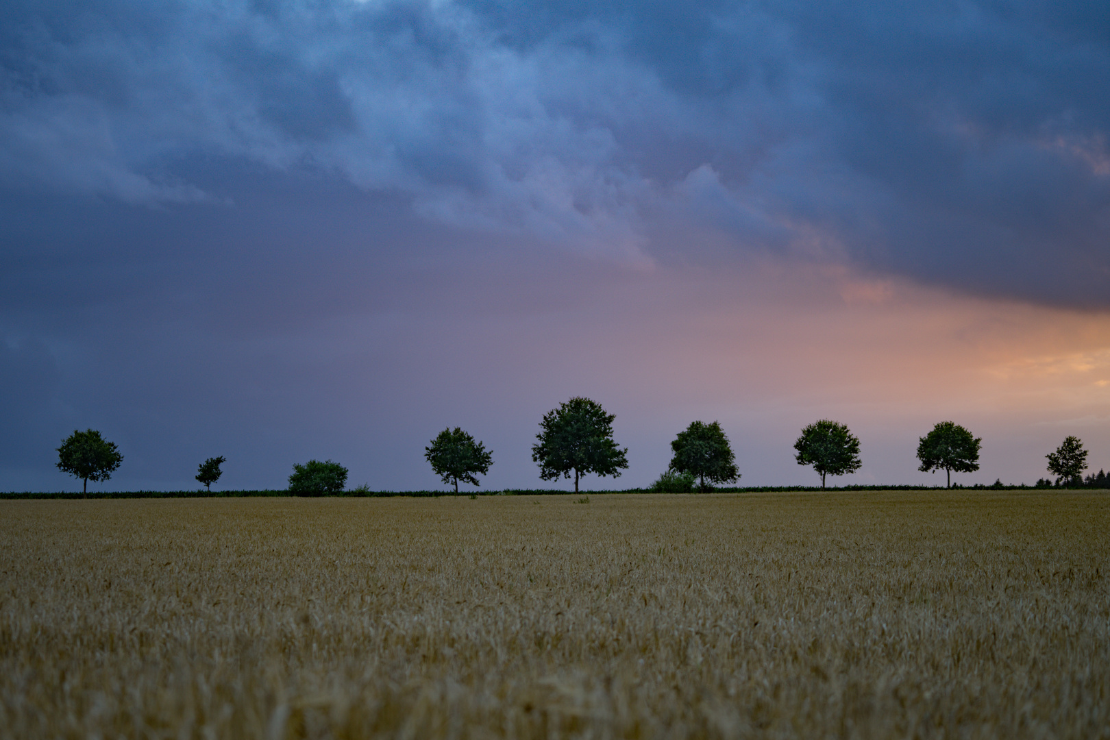 Last light of the day