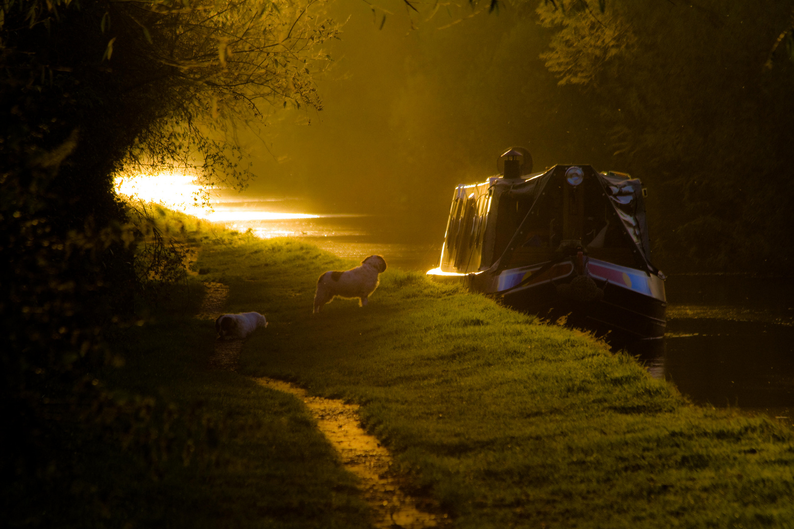 Last light of the day