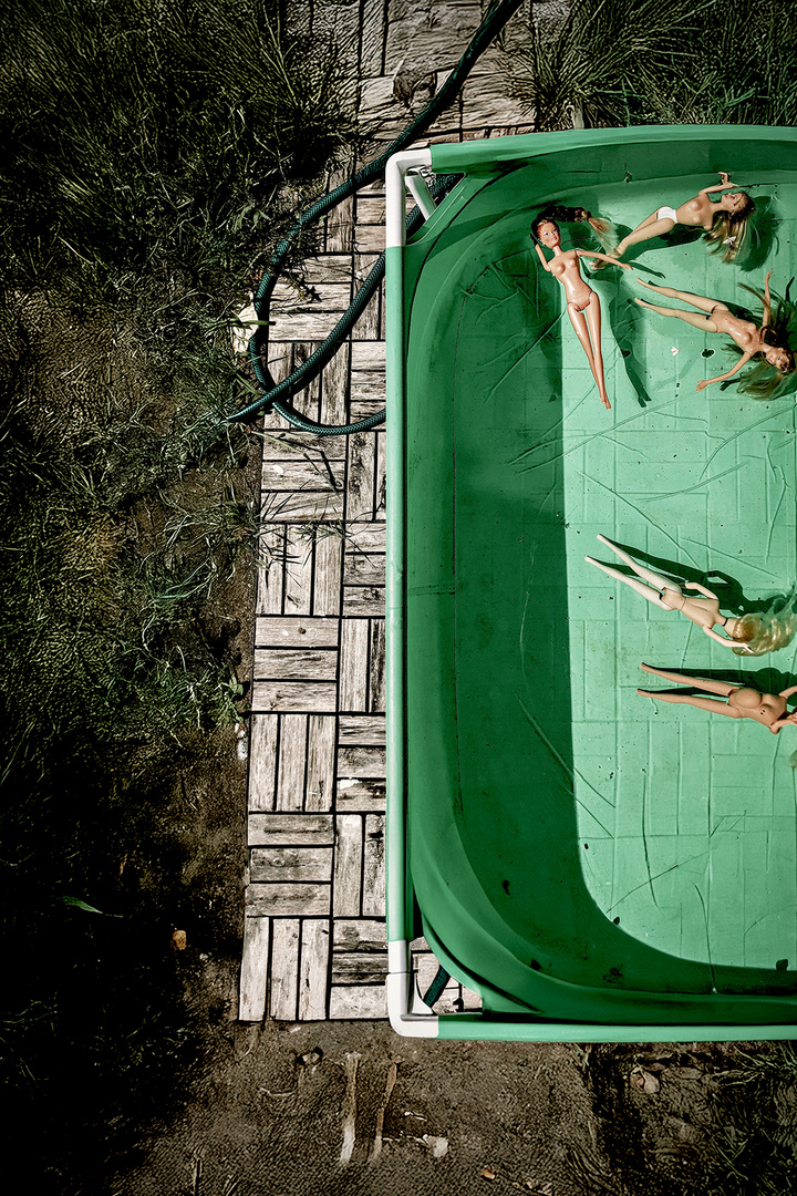 Last Light on Plastic Skin