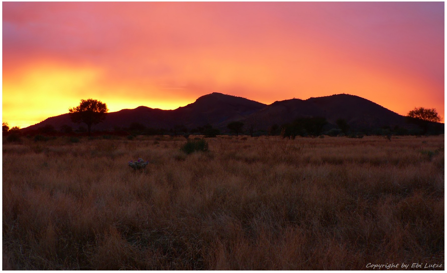 * last Light over  Mount Gould / WA *