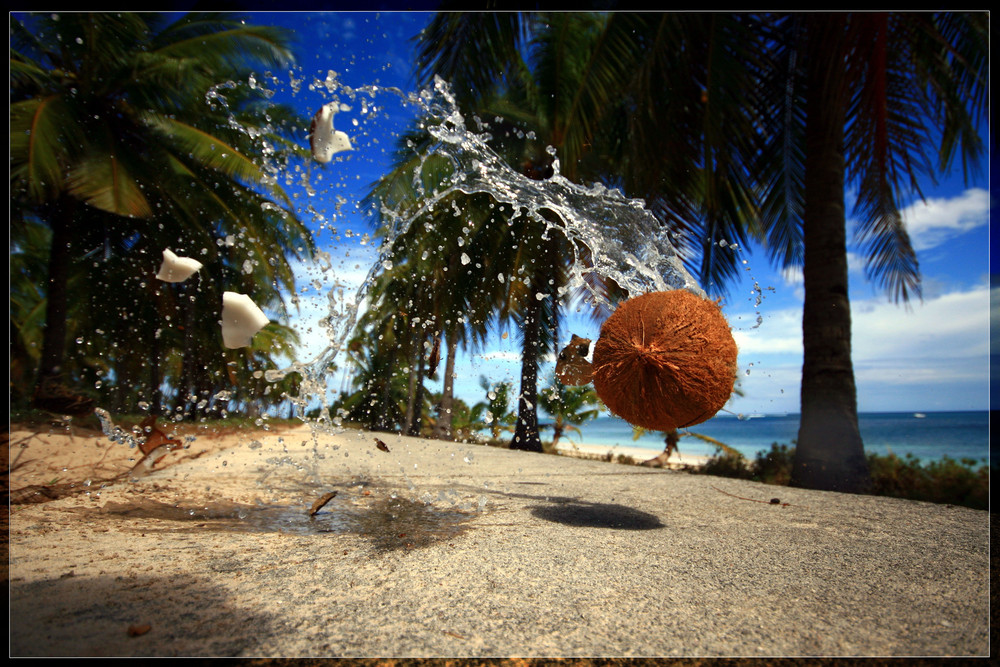 last moment of the coconut