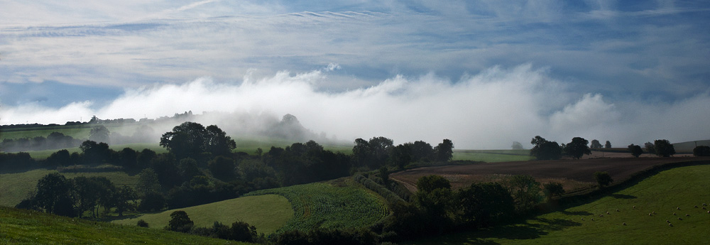 Last of the Morning Mist