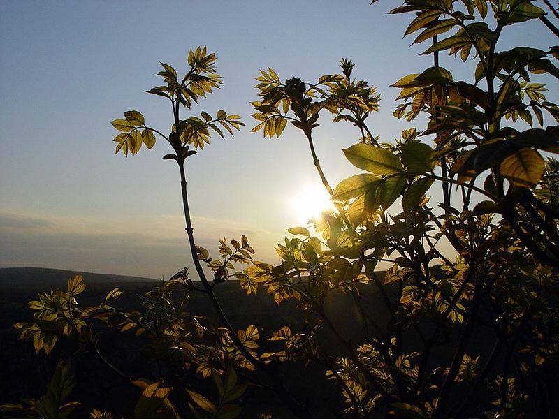 Last rays before sunset