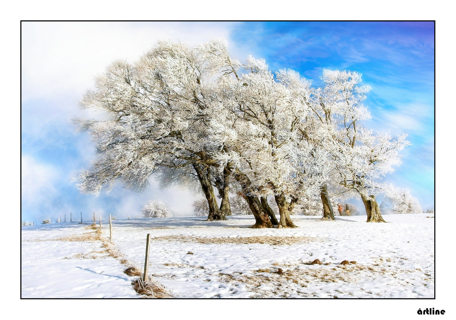 last snow and frost