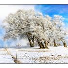 last snow and frost