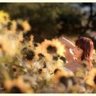 Last Sunflowers - Last Summergirl