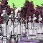 Last Violets, Cimitero Monumentale, Milano
