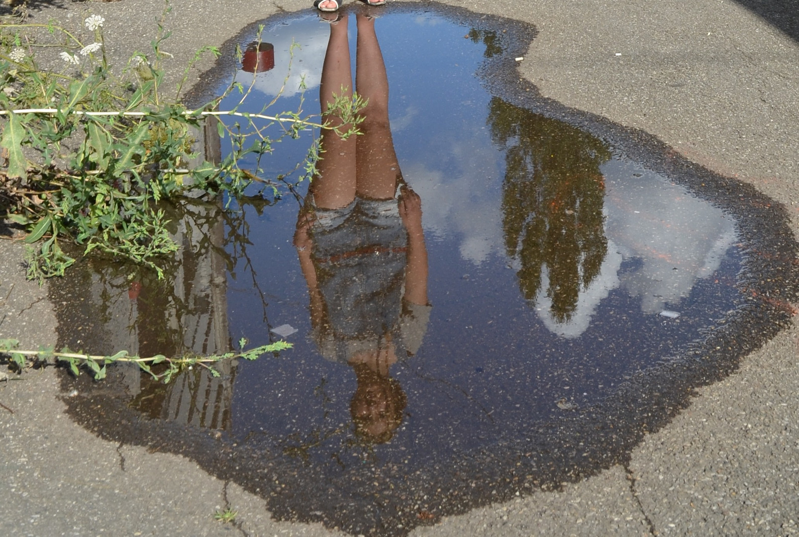 last water puddle