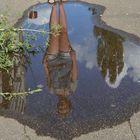last water puddle