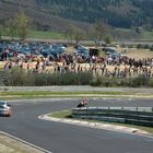 Last weekend @ Nürburgring