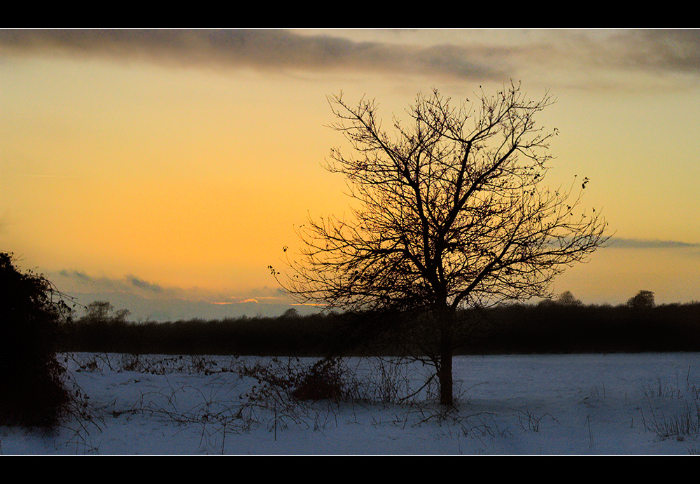 Last Winter Light