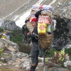 Lastenträger im Himalaya