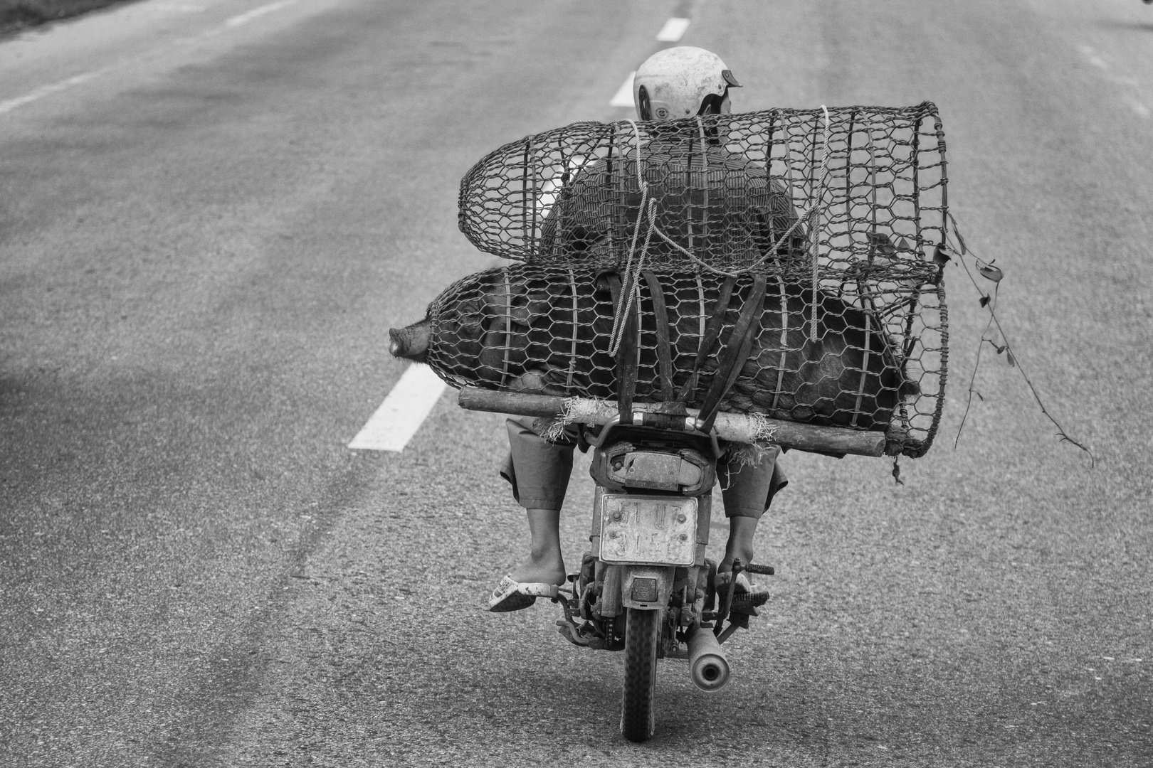 Lastentransport in Vietnam