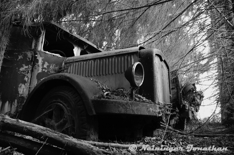 Lastwagen auf dem Autofriedhof