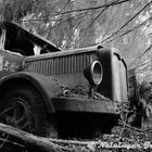 Lastwagen auf dem Autofriedhof