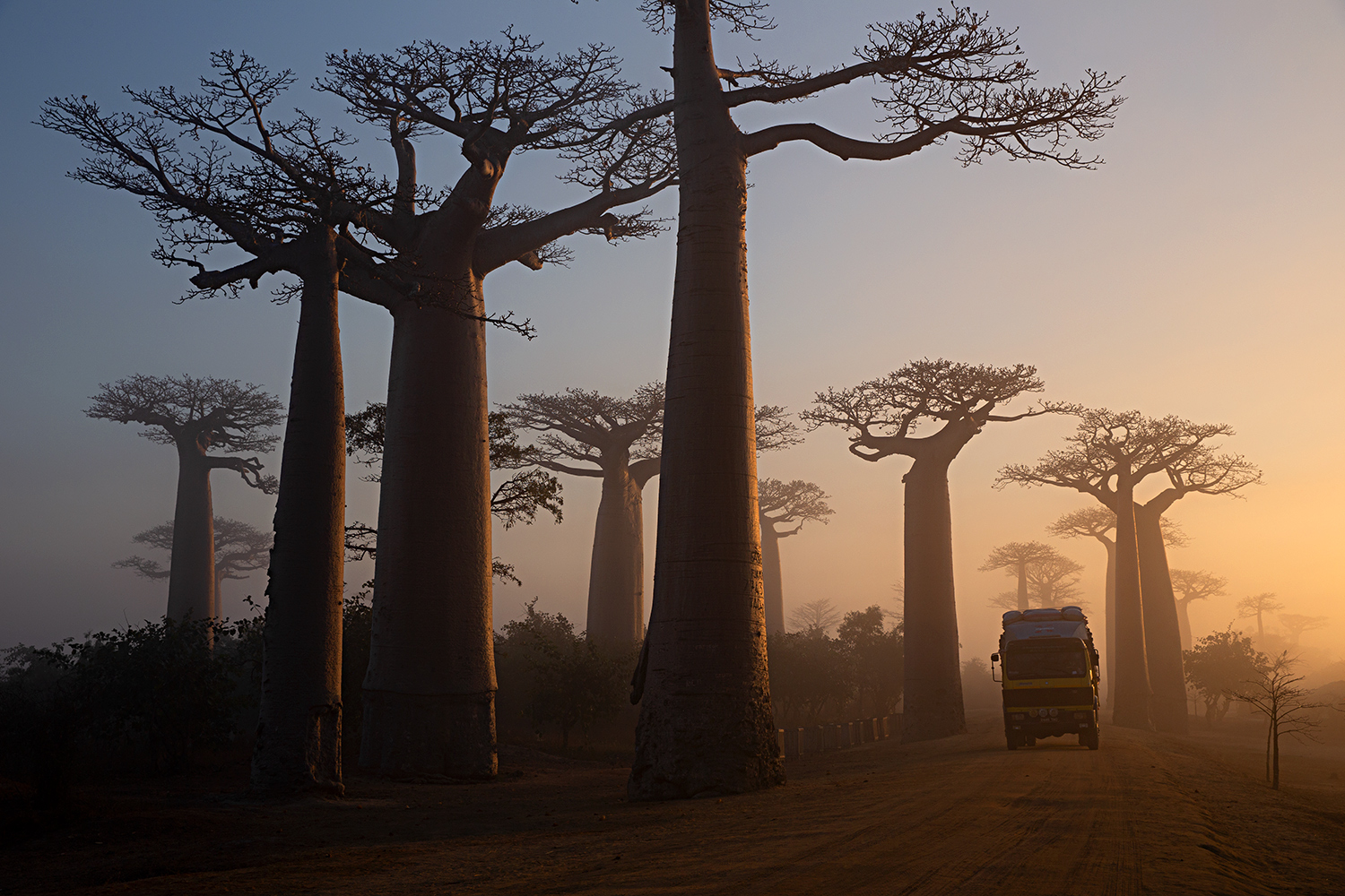 Lastwagen-Baobab