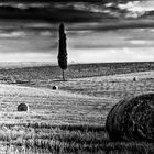 Late Afternoon at the Graveyard