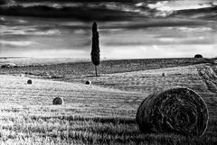 Late Afternoon at the Graveyard