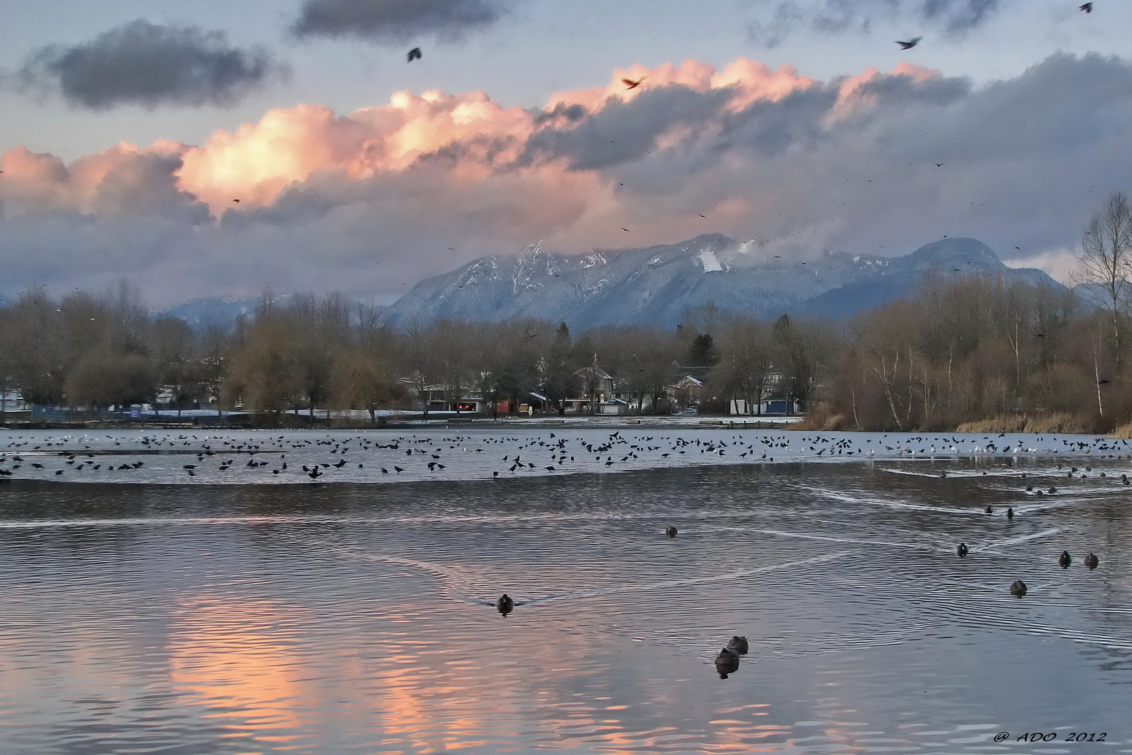 Late Afternoon at Trout Lake (2)