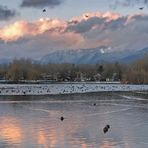 Late Afternoon at Trout Lake (2)