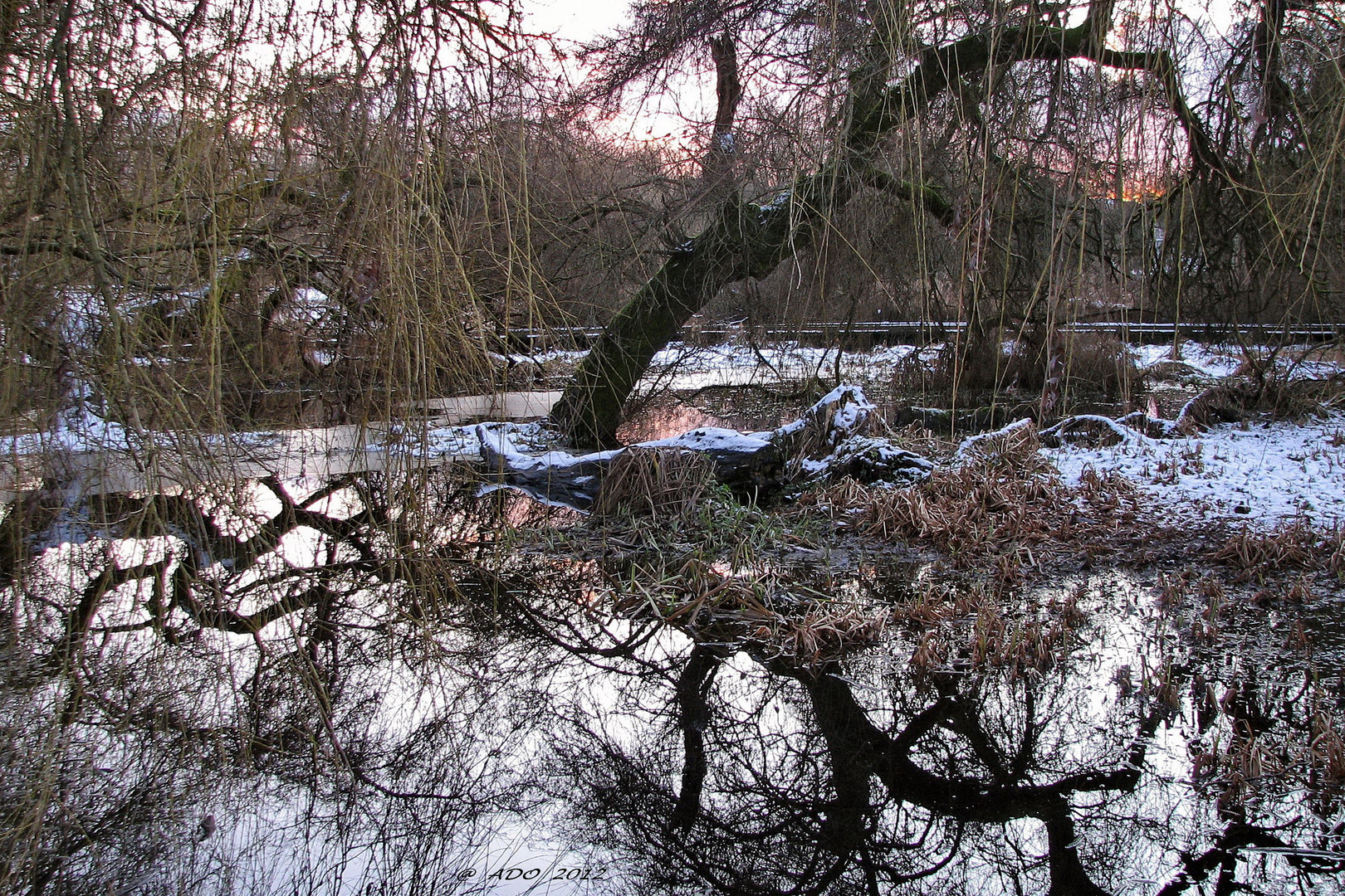 Late Afternoon at Trout Lake (3)