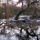 Late Afternoon at Trout Lake (3)