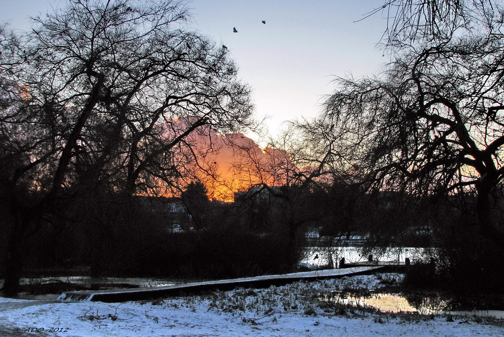 Late Afternoon at Trout Lake (4)