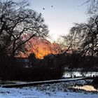 Late Afternoon at Trout Lake (4)