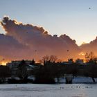 Late Afternoon at Trout Lake