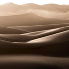 Late Afternoon fog in the Dunes (Namibia).