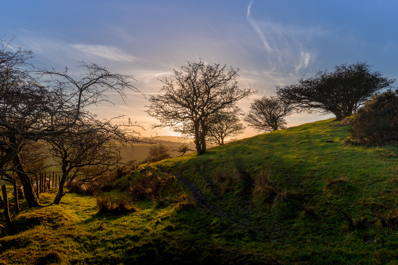 Late afternoon in Winter