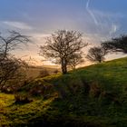 Late afternoon in Winter