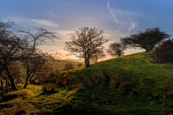Late afternoon in Winter
