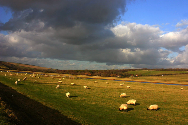 Late afternoon light