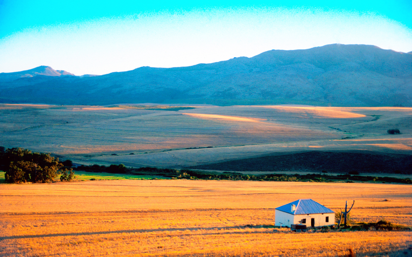 Late afternoon near Hermanus, South Africa