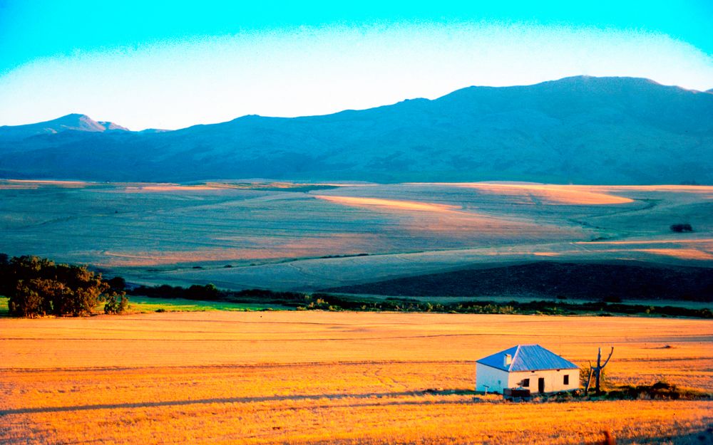 Late afternoon near Hermanus, South Africa