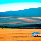 Late afternoon near Hermanus, South Africa