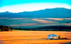 Late afternoon near Hermanus, South Africa