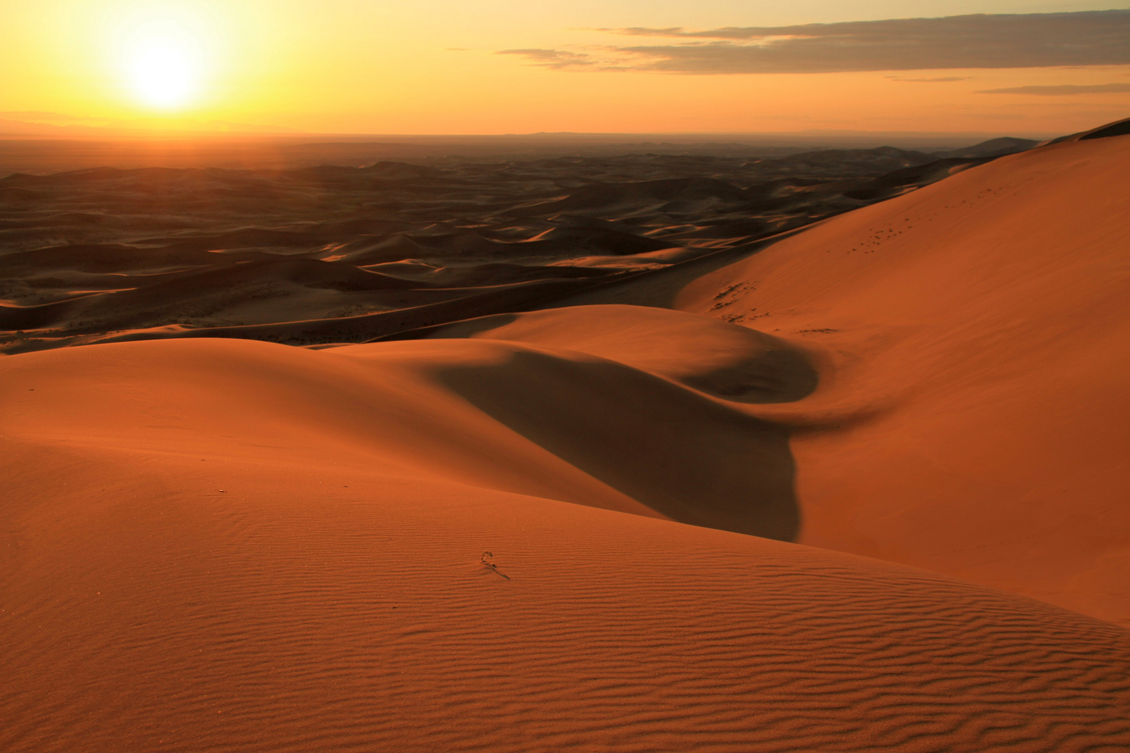 Late at the Gobi