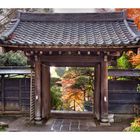 Late Autumn in Kamakura