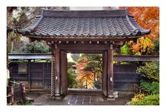 Late Autumn in Kamakura