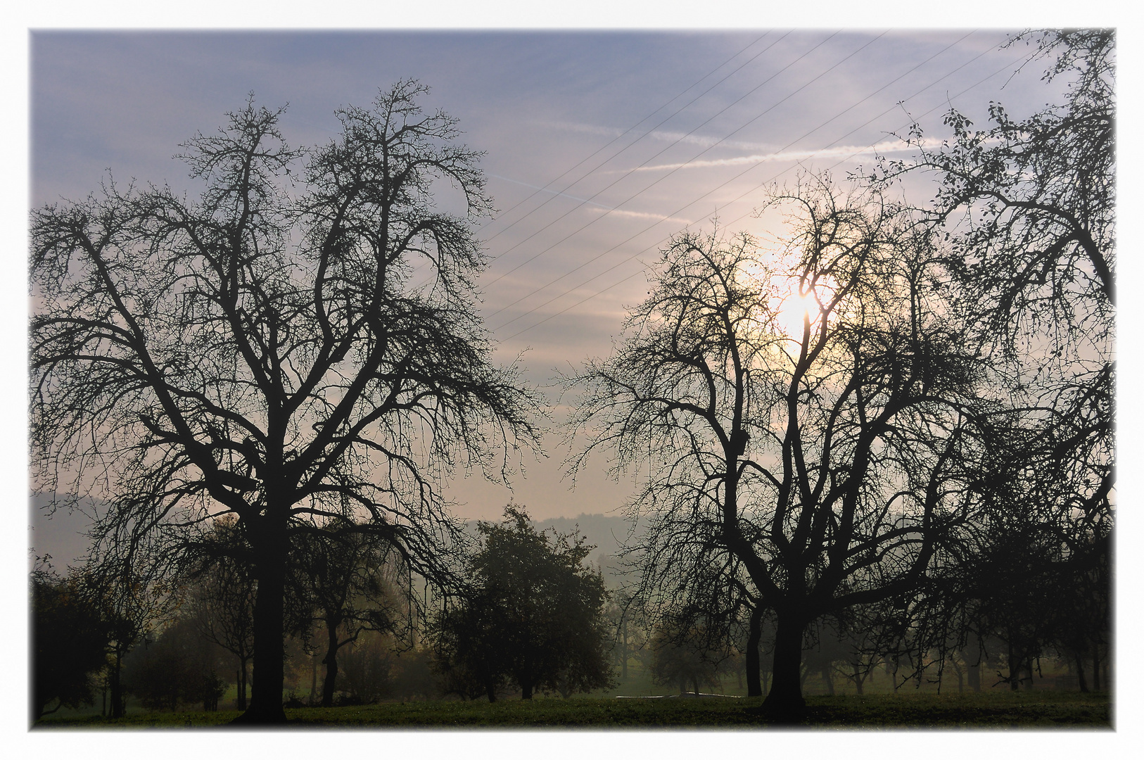 late autumn light