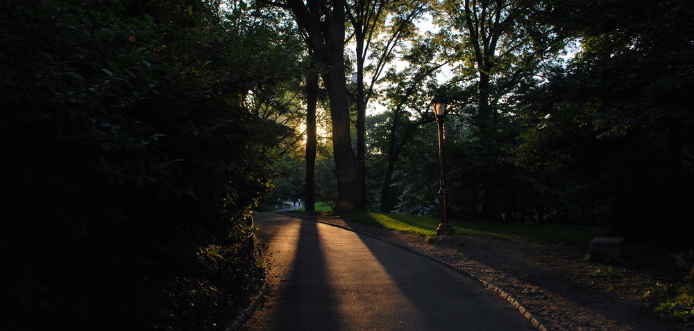 Late Central Park