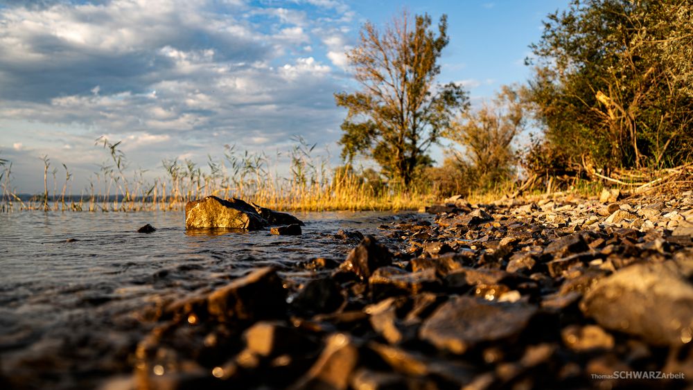 late summer day ...