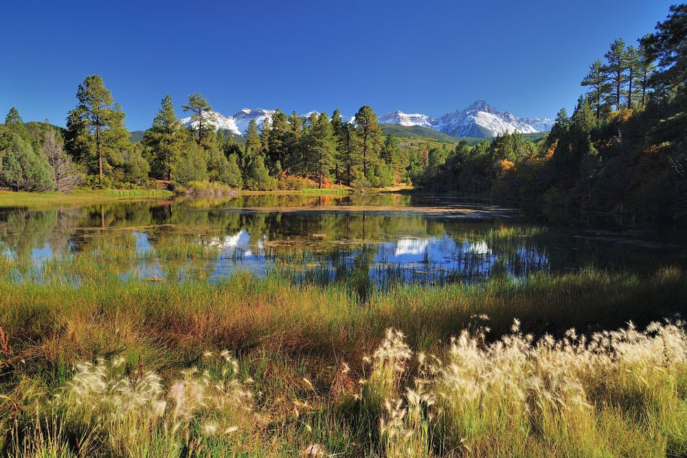 *late summer in Oray County*