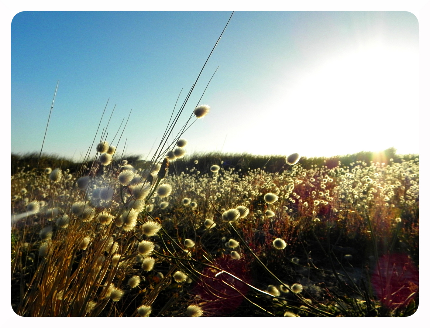 Late summer light