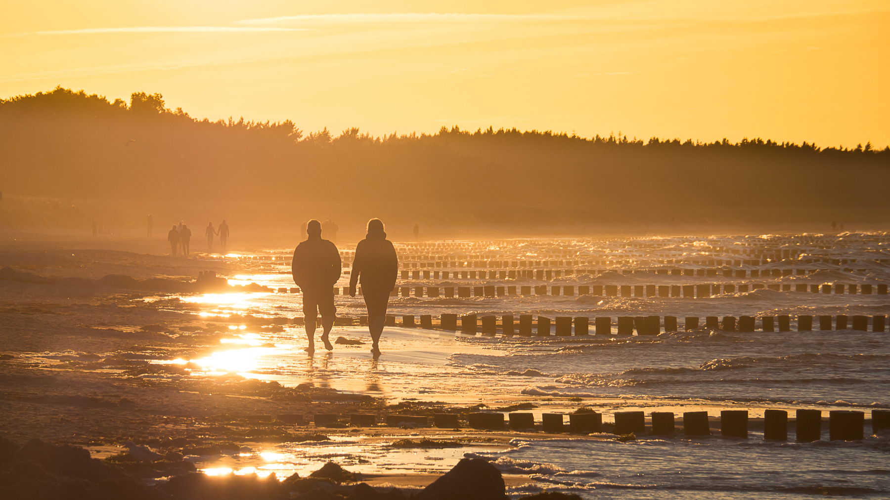 Late Summer Seaside