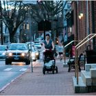 Late Winter Rush Hour - an Annapolis Moment