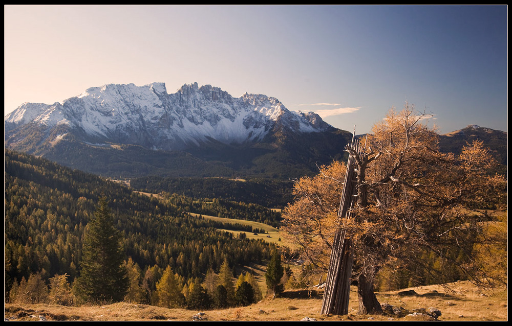 Latemar am Karerpass / Südtirol