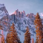 Latemar (Dolomiten) im winter